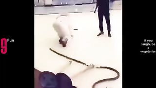 TRY NOT TO LAUGH ???? Best Funny Videos Compilation ???????????? Memes PART 142