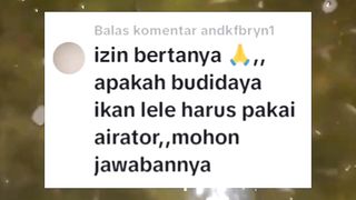 Apakah budidaya ikan lele harus pakai AERASI/AERATOR❓