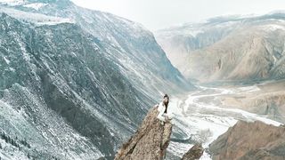 "Nature's Rhapsody: A Visual Celebration of Earth's Harmonious Beauty"