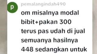 Belajar budidaya dan bisnis budidaya itu beda, saat belajar budidaya, jangan pikir keuntungan dulu