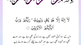 Quran , Al Quran Surah 44 Ayat 08 #viral #shorts #quran #youtubeshorts