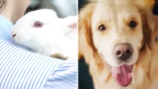 Dangerous Animals You Should NEVER Touch!