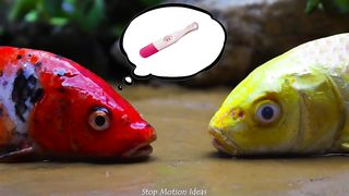 Stop Motion ASMR - Golden koi, eels, sneaky eels steal eggs Primitive Cooking Ideas