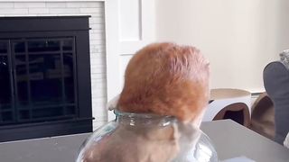 I’m just gonna scooch right in here