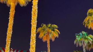 VID_55170107_041432_560. 12