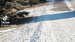 Canada winter