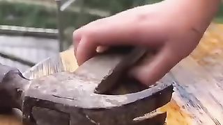 Comida 10