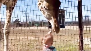 Best funny video 59