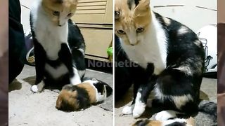 Keluh kesah hati ibu.