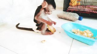 Eat starfruit and bananas at Love'Ly's new House Cute