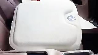 Cat seat cushions