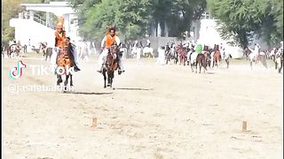 Horse race 3