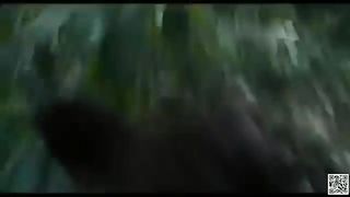 Kehidupan di hutan