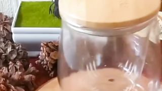 Minuman herbal menjelang tidur / pendetox