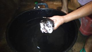 Cant Bathe Alone Cute Baby Monkey