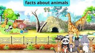 Facts about animals 9