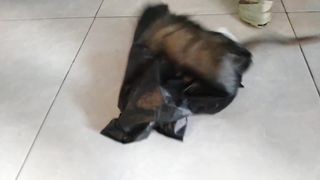 OMG Baby Monkey Didot Stuck