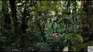 Kehidupan di hutan part2