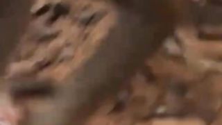 The monkey mother was so evil her child was dragged away