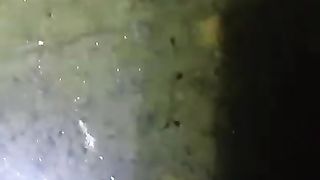 Umur 3 hari dari menetas, larva lele harus diberi pakan cacing sutera atau kutu air