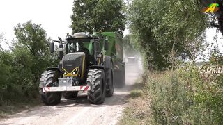 Weizenernte 2022 Getreideernte Mähdrescher CLAAS Lexion Traktor Fendt Lohnuntern_HD.mp4