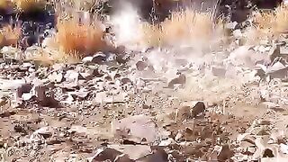 I found treasure under the big rock
