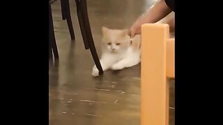 It-s-To-LAUGH-When-Watching-This-Video