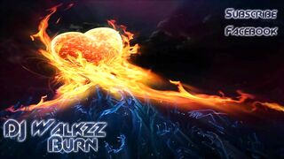 Alan Walker - Burn