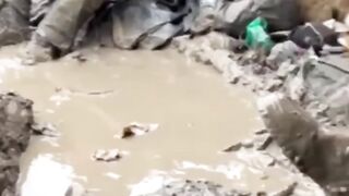 Наші хлопці ЗСУ