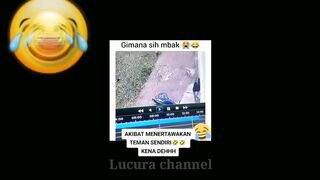 collection of funny video
