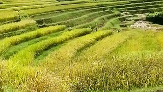 PEMANDANGAN ALAM YANG INDAH