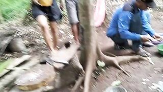 Camping to haiking big famyli