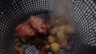 Cooking a lot of chicken