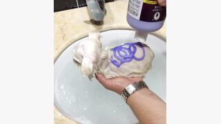 my cute puppy ( TikTok)