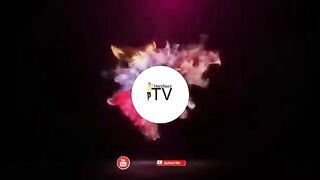 ????All time best funny video 2022 |????????