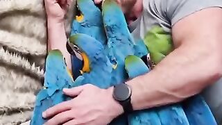 Parrots Daddy ????
