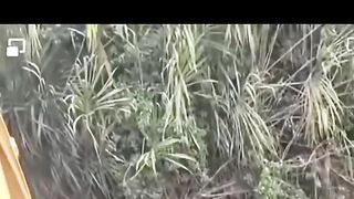 Funny Video #1 3