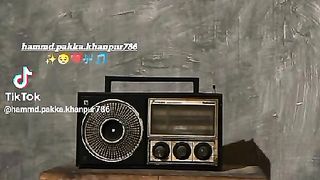 Lovely 486