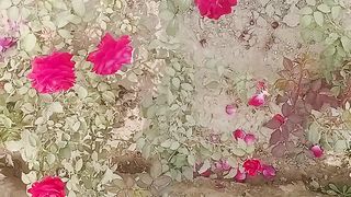 Flowers 19