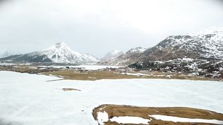 "Ecosystems in Action: Discovering Wildlife in All Its Splendor"