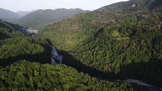 "Awaken Your Senses: A Visual Outdoor Experience with Nature"