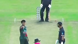 Sweet moments cricket