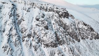 "The Art of Nature: A Poetic Video Celebrating the Diversity of Our Planet"