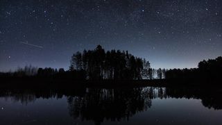 "Eternal Echoes: Capturing the Timeless Spirit of Nature"