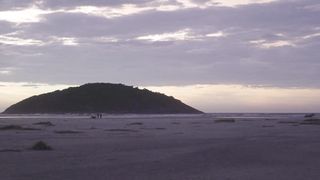 "Nature's Tapestry: A Cinematic Journey Through Earth's Masterpiece"