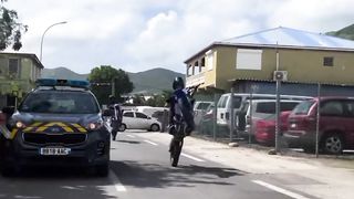 WHITELINE LICENCE