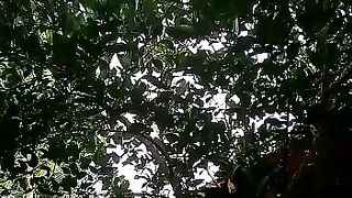 Som natureza