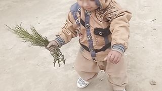 Kashi 2