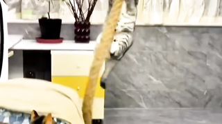 It's great That Striped Cats can climb mines