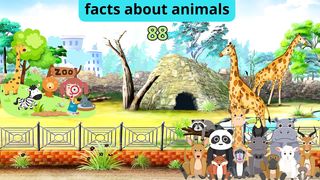 Facts about animals 81